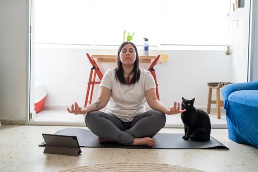 A young woman showing yoga poses sitting on a grey mat with a cat standing next to her in a room with white walls