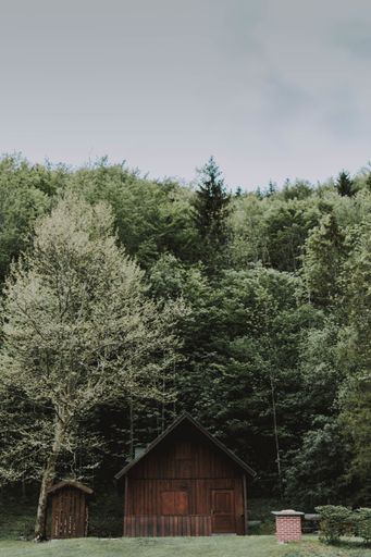 A vertical shot of a small wooden house along the green trees under a cloudy sky