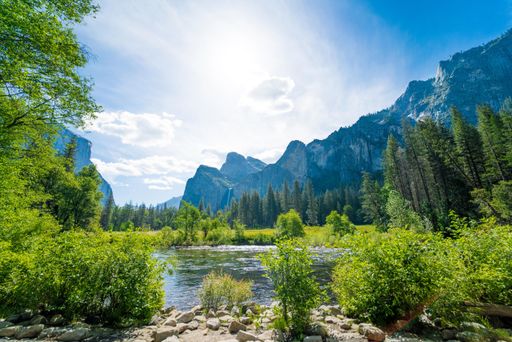 A beautiful shot of a river surrounded by the greenery of the forest on a sunny day
