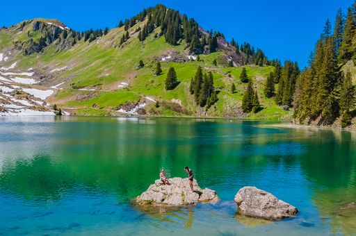 The mountains and trees in Switzerland surrounded by the lake Lac Lioson