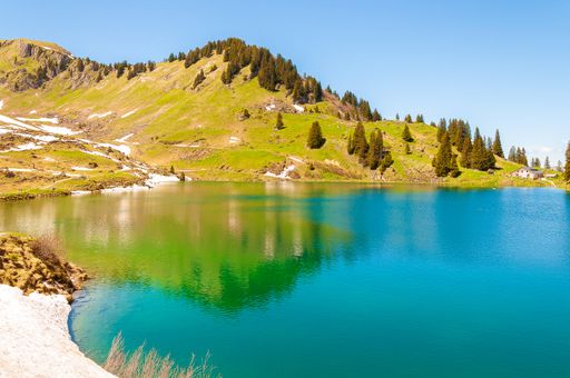 The mountains and trees in Switzerland surrounded by the lake Lac Lioson