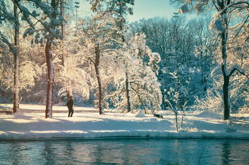 A distant view of the dog walking with its owner in the snowy park during winter
