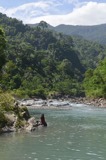 A vertical shot of a person sitting on a rock by the water surrounded by a hill covered in green trees and plants