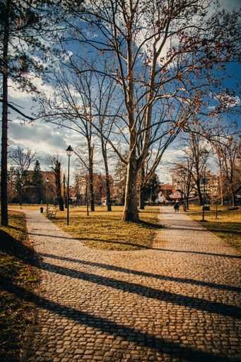 A vertical shot of a city park on a bright day