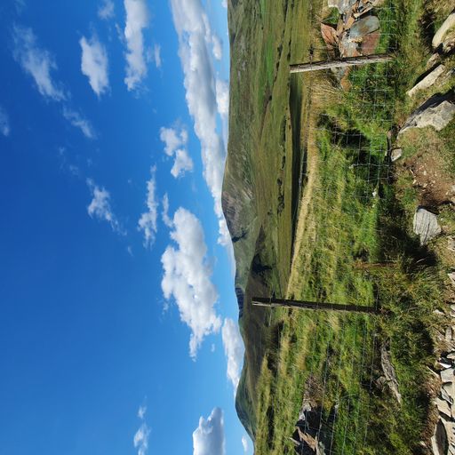 A natural field landscape under a cloudy sky