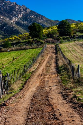 A vertical shot of the rocky road leading to the mountains on the sunny day