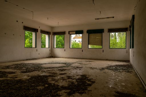 An empty abandoned room with a garden outside under the sunlight - interior concept