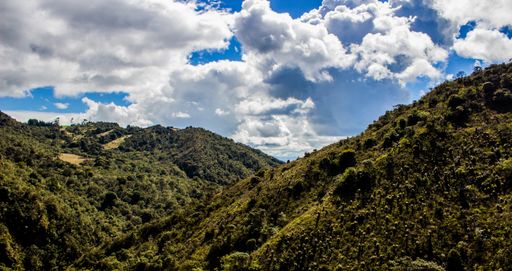 A panoramic shot of green-covered mountains on a cloudy day