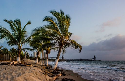 A landscape of the wavy sea surrounded by the beach with palm trees in the evening - nice for wallpapers