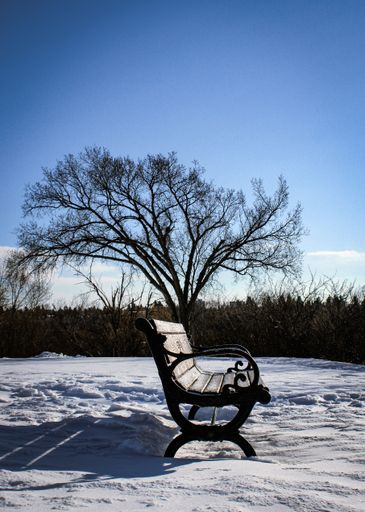 A beautiful view of a wooden bench in a snowy park under the clear sky