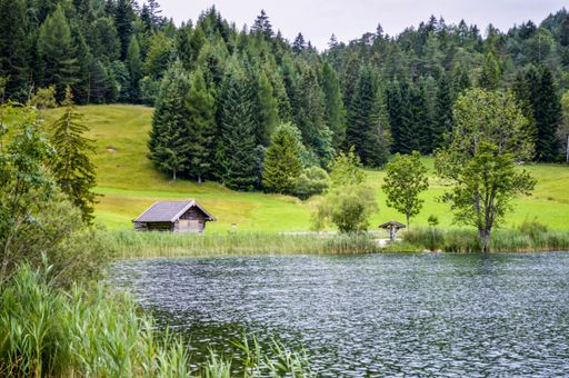 A beautiful shot of the small wooden house among green trees and along the river