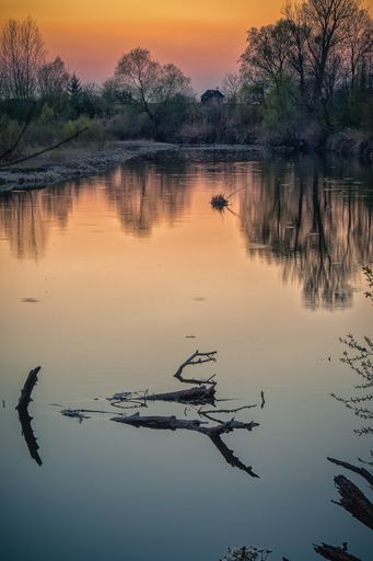 A beautiful shot of a lake shore during golden hour
