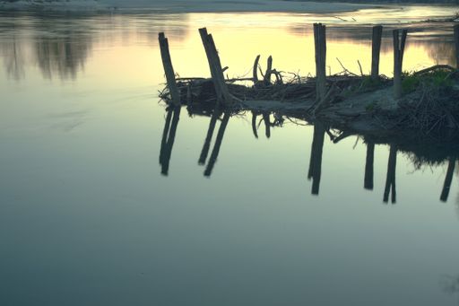 A beautiful shot of a lake shore during golden hour