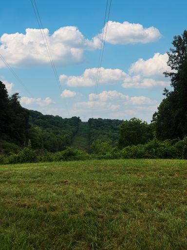A vertical shot of a green meadow with a little mountain forest on the background