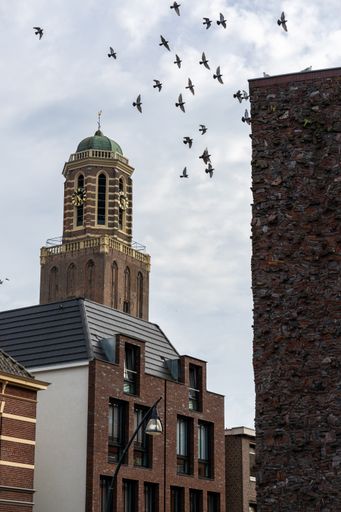 The birds flying over the tower of the Onze Lieve Vrouwe church in the Netherlands