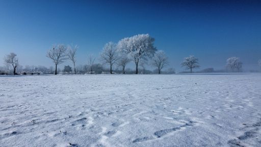 A cold, lifeless field. Fresh snowfall coats the landscape.