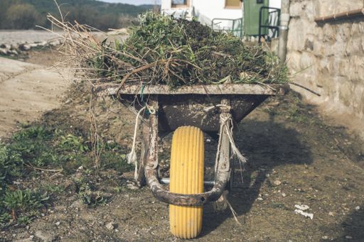 A shot of wheelbarrow with uprooted grasses