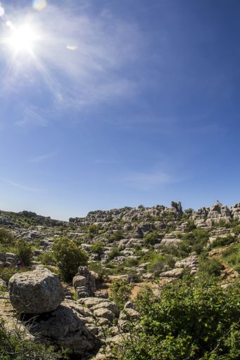 A vertical shot of El Torcal de Antequera in Andalusia, Spain