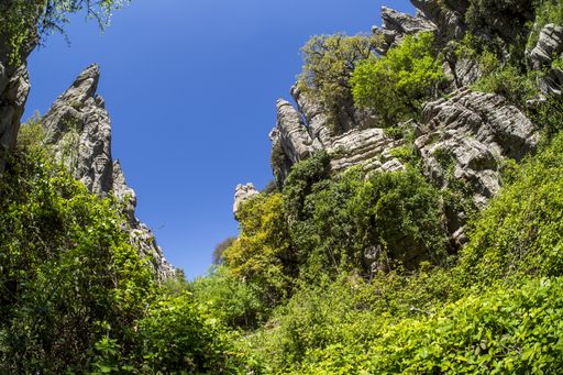 A low angle shot of rock formations surrounded by beautiful greenery under a clear blue sky