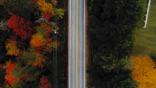 A top view of the highway surriunded by colorful trees and shrubs in autumn