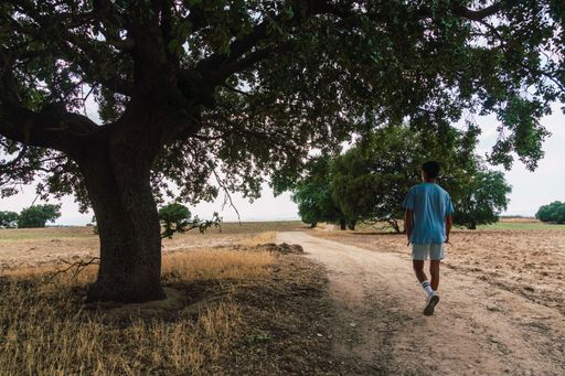 Young man in sports clothes walking along a path with a big tree in the middle of fields in summer