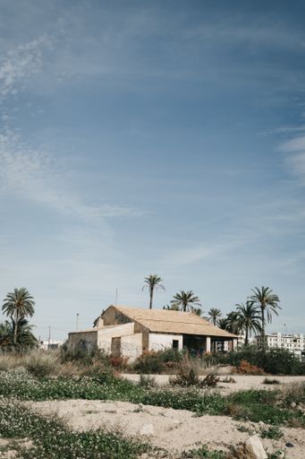 A beautiful vertical shot of palm trees  surrounding a house under the blue sky