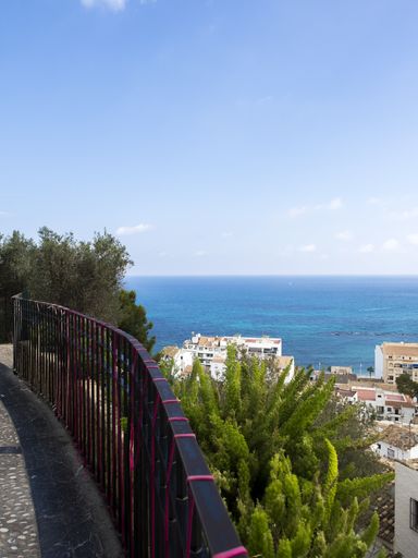 A vertical shot of the fence and a tree in the city near the ocean under a blue sky