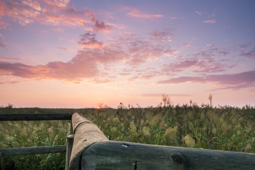 A wooden fence in a field covered in the grass under a cloudy sky during the sunset