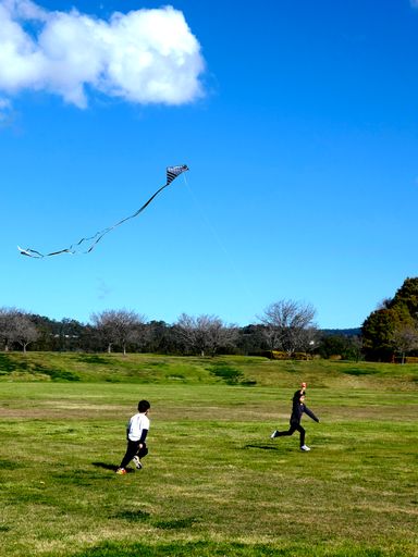 The kids kite flying running on playing field