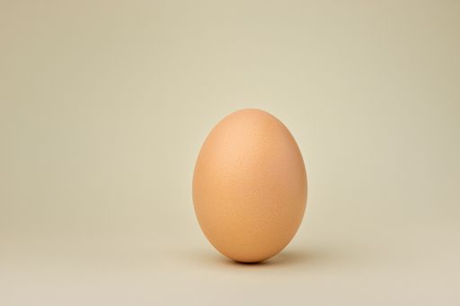 A closeup shot of an egg isolated on a brown background
