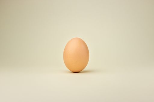 A closeup shot of an egg isolated on a brown background