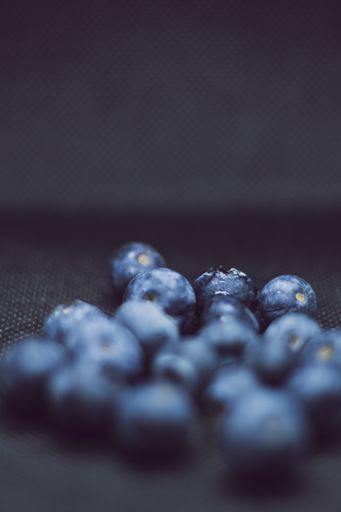 The fresh blueberries isolated on a black background
