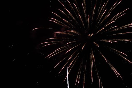 The colorful firework in the night sky