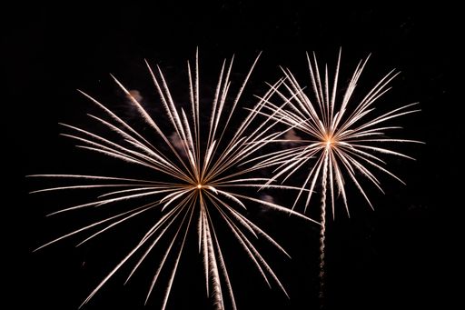 The colorful fireworks in the night sky