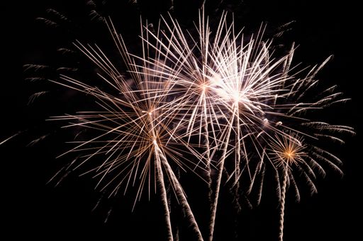 The colorful firework in the night sky