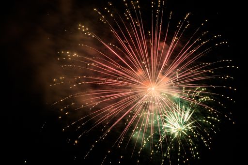 The colorful firework in the night sky