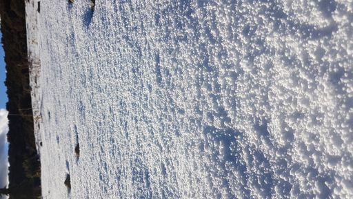 A vertical shot of a landscape covered in a snow on a sunny day