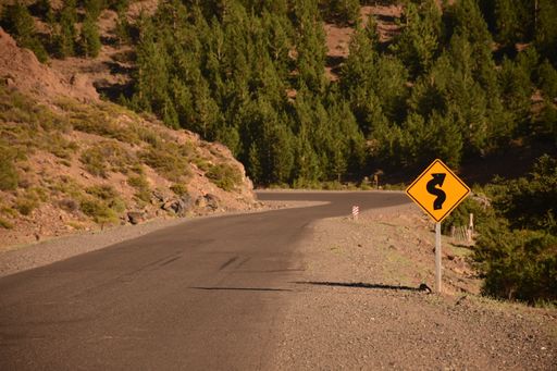 The yellow road sign with a curved arrow against the background of green trees.