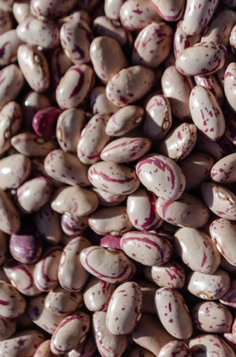 A pile of legumes with burgundy dots on them - perfect for background