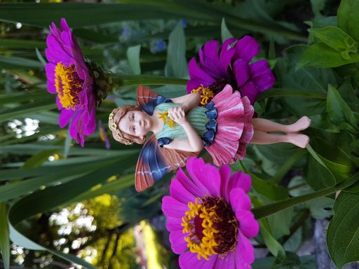 A mini flower fairy doll and blooming zinnia flowers in a garden