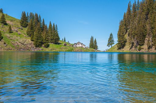 The mountains and trees in Switzerland surrounded by the lake Lac Lioson