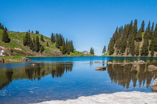 The trees on the mountains surrounded by lake Lac Lioson in Switzerland