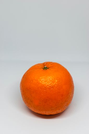 A vertical shot of an orange fruit isolated on a plain background