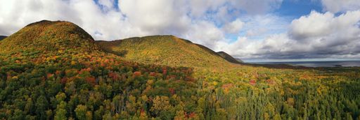 A panoramic landscape view of a forest against tree covered mountains