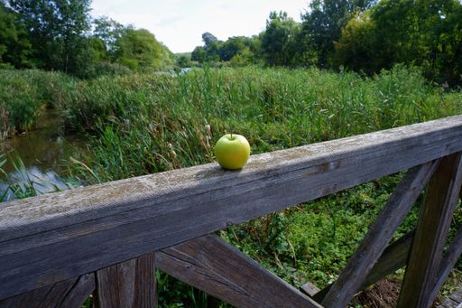 A green apple on the railing of a wooden bridge with a green landscape in the background in Hungary