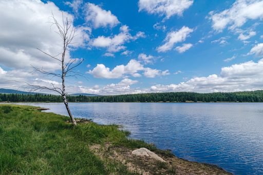 Beautiful scandinavia like landscape of Jizerske hory. Mountain lake in the forest, blue sky with white clouds. Green grass and lake in the outdoors.