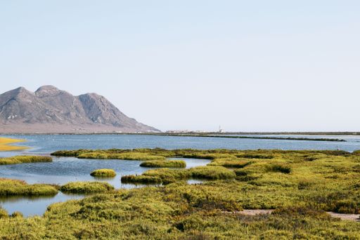 A beautiful scenic shot of a lake surrounded by green grass and high mountains under the blue sky