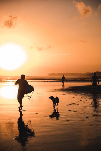 A vertical shot of silhouettes of people at the beach during the beautiful sunset