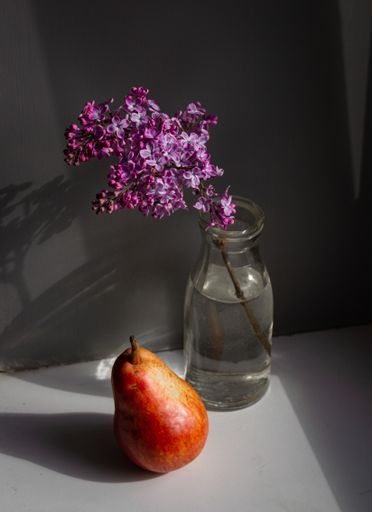 A vertical shot of a lavender flower in a vase indoors - perfect for background