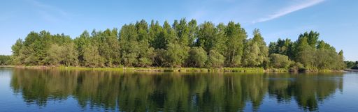 A beautiful scenery of a range of green trees reflecting in the lake